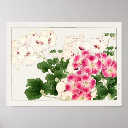 Pelargonium van Tanigami Konan Poster (Voorkant)