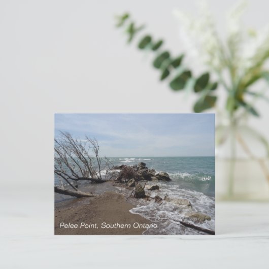 Pelee Point, Southern Ontario Briefkaart (Staand voorkant)