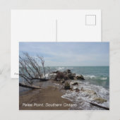 Pelee Point, Southern Ontario Briefkaart (Voorkant / Achterkant)