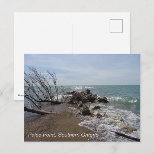 Pelee Point, Southern Ontario Briefkaart (Voorkant / Achterkant)