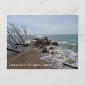 Pelee Point, Southern Ontario Briefkaart (Voorkant)