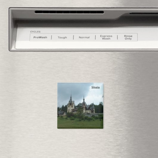 Peles Castle - Sinaia Magneet (Insitu (Vaatwasser))