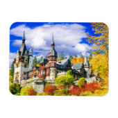 Peles Magneet (Horizontaal)