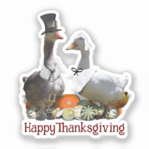 Pelgrim Gans Eend Thanksgiving  Sticker