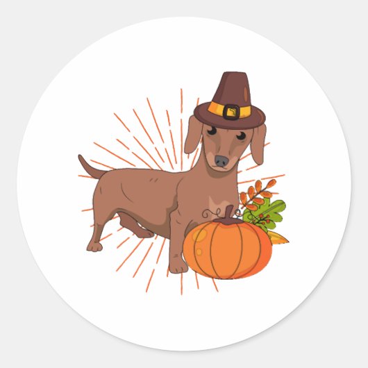 Pelgrim teckel pompoen bladeren Thanksgiving Ronde Sticker (Voorkant)