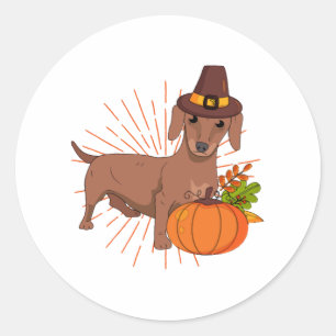 Pelgrim teckel pompoen bladeren Thanksgiving Ronde Sticker