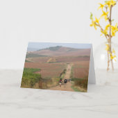 Pelgrims die Kaart lopen (Gele Bloem)