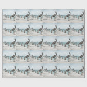 pelicaan-33 cadeaupapier (Vlak)