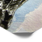 pelicaan_vogel_2 poster (Hoek)