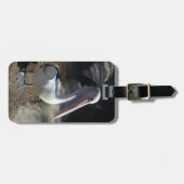 Pelicaans Bagagelabel (Voorkant horizontaal)