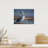 Pelicaans Poster (Keuken)