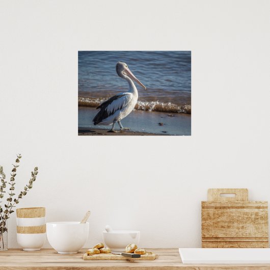 Pelicaans Poster (Keuken)