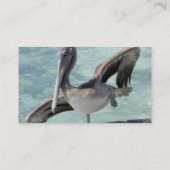 Pelicaanse Visitekaartjes (Achterkant)