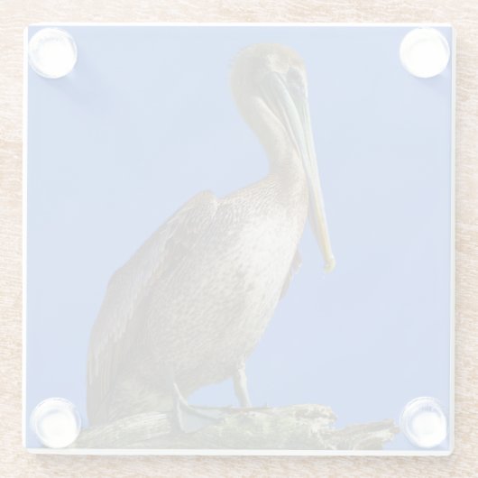 Pelican aan een ledemaat glazen onderzetter (Achterkant)