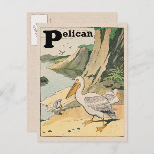 Pelican Alphabet Briefkaart (Voorkant / Achterkant)