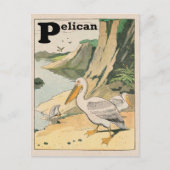 Pelican Alphabet Briefkaart (Voorkant)