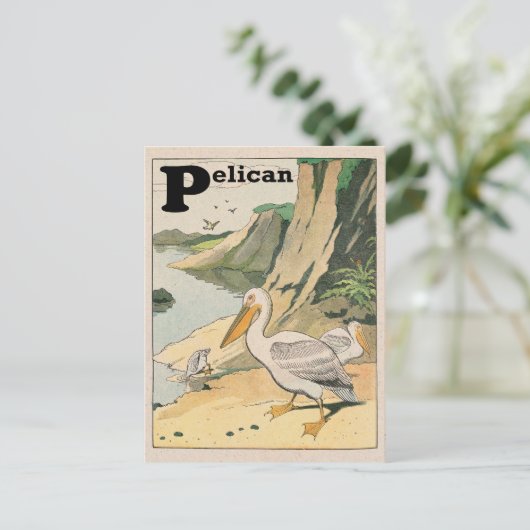 Pelican Alphabet Briefkaart (Staand voorkant)