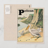 Pelican Alphabet Briefkaart (Voorkant / Achterkant)