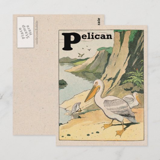 Pelican Alphabet Briefkaart (Voorkant / Achterkant)