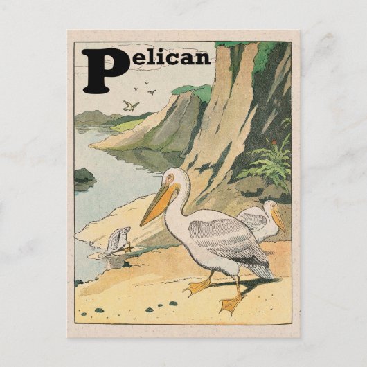 Pelican Alphabet Briefkaart (Voorkant)