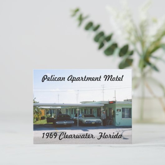 Pelican Apartement Motel Florida Briefkaart (Staand voorkant)