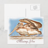 Pelican Awaits_ Briefkaart (Voorkant / Achterkant)