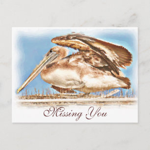 Pelican Awaits_ Briefkaart