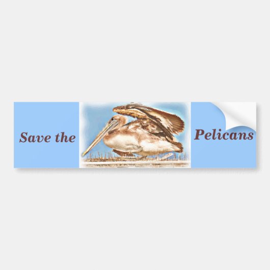 Pelican Awaits_ Bumpersticker (Voorkant)