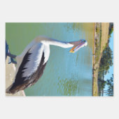 Pelican Back Chat, papierbladen overvullen Inpakpapier Vel (Voorkant 3)