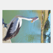 Pelican Back Chat, papierbladen overvullen Inpakpapier Vel (Voorkant 2)