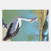 Pelican Back Chat, papierbladen overvullen Inpakpapier Vel (Voorkant)