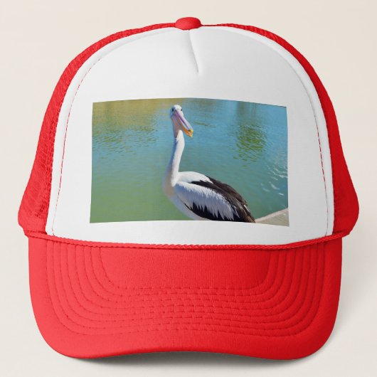 Pelican Back Chat, Trucker Hat Pet (Voorkant)