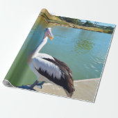 Pelican Back Chat, Verpakkingspapier Cadeaupapier (Uitgerold)
