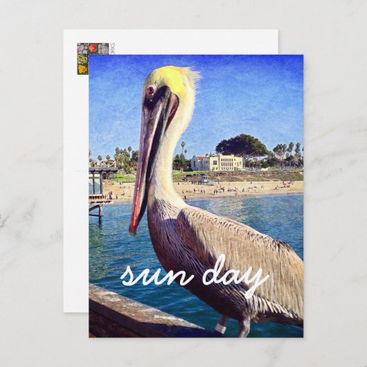 Pelican Beach Bird Foto Sun Day Stylish Script Briefkaart (Voorkant / Achterkant)