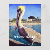 Pelican Beach Bird Foto Sun Day Stylish Script Briefkaart (Voorkant)