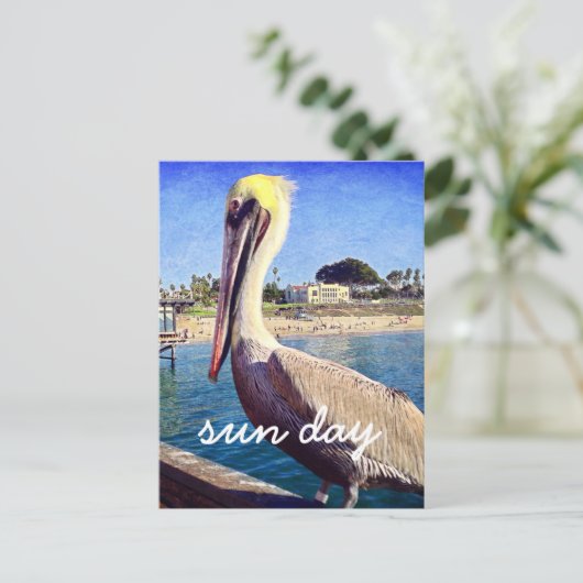 Pelican Beach Bird Foto Sun Day Stylish Script Briefkaart (Staand voorkant)