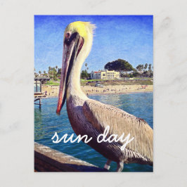 Pelican Beach Bird Foto Sun Day Stylish Script Briefkaart