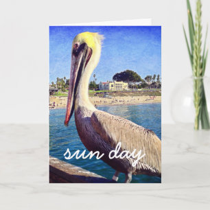 Pelican Beach Bird Foto Zondag Script Modern Kaart