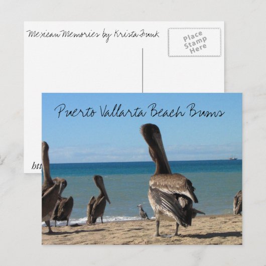 Pelican Beach Bums Briefkaart (Voorkant / Achterkant)