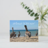 Pelican Beach Bums Briefkaart (Staand voorkant)