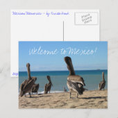 Pelican Beach Bums Briefkaart (Voorkant / Achterkant)