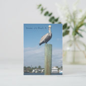 Pelican bij Panama City Beach, FL Briefkaart (Staand voorkant)