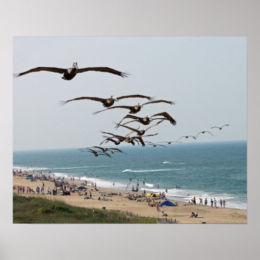 Pelican Bird Gang vliegt over OBX-strand Poster (Voorkant)