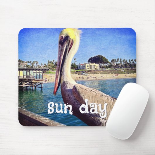 Pelican Bird Ocean Beach Pier Photo Sun Day Muismat (Met muis)