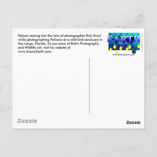 Pelican Bird Sanctuary Key Largo, Briefkaart van F (Achterkant)