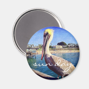 Pelican bird strand pier foto sun day quote magnet