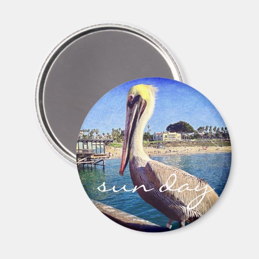 Pelican bird strand pier foto sun day quote magnet (Voorkant / Achterkant)