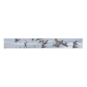 Pelican Birds Beach Wildlife Grosgrain Ribbon Grosgrain Lint (Voorkant)