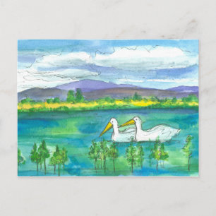 Pelican Birds Desert Mountain Lake Waterverf Briefkaart