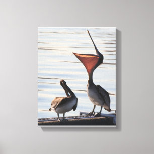 Pelican Birds Wilde Dieren Bloem Canvas Afdruk